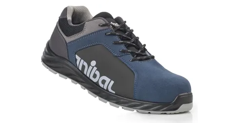 Zapato de seguridad FLEXUM Z1 / Z3 de Anibal